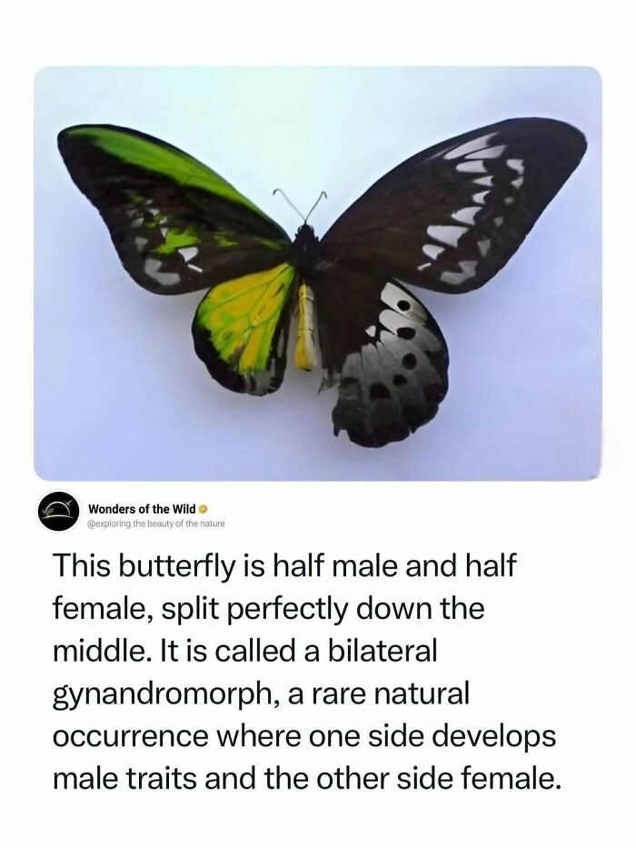 44 Animal Facts That’ll Totally Surprise You