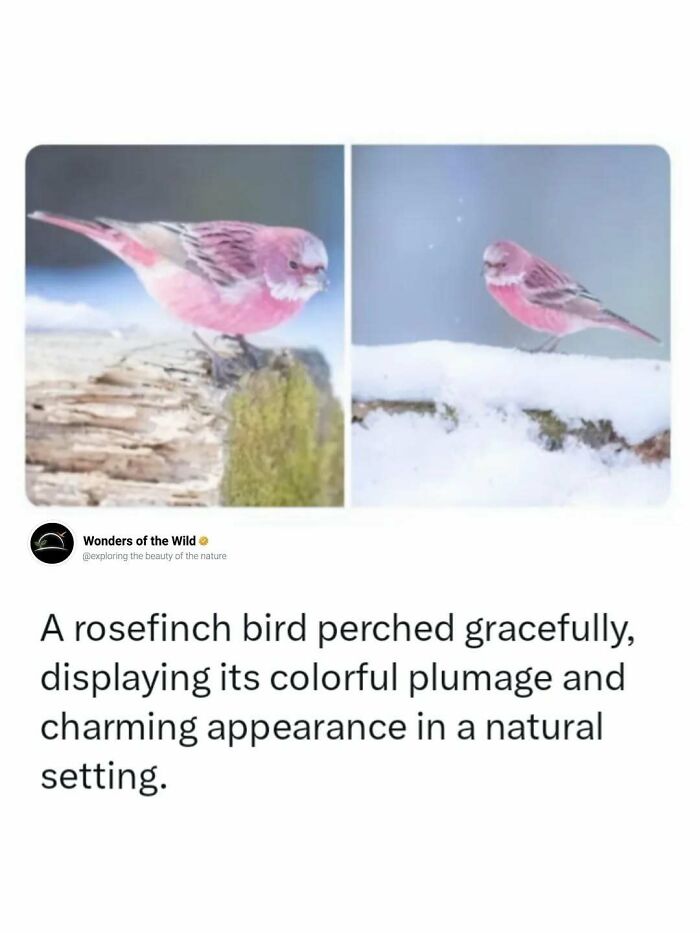 44 Animal Facts That’ll Totally Surprise You