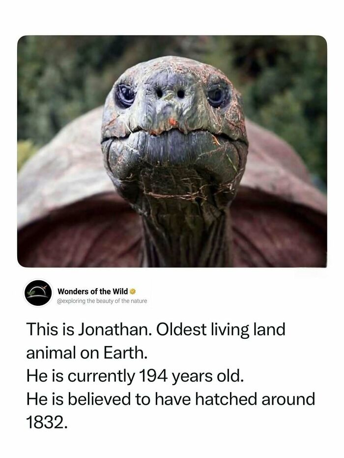 44 Animal Facts That’ll Totally Surprise You