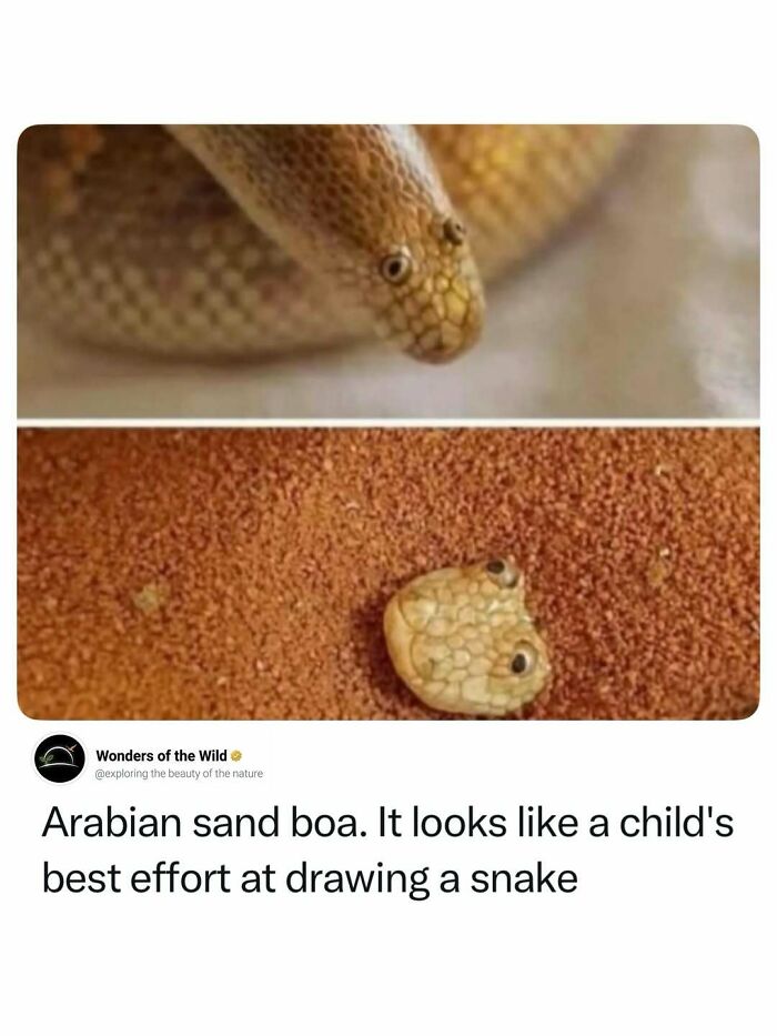 44 Animal Facts That’ll Totally Surprise You