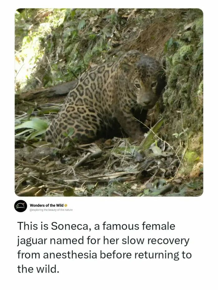44 Animal Facts That’ll Totally Surprise You