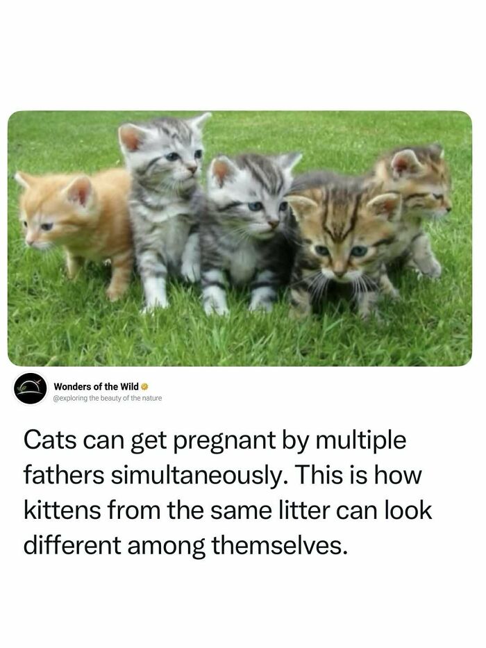 44 Animal Facts That’ll Totally Surprise You