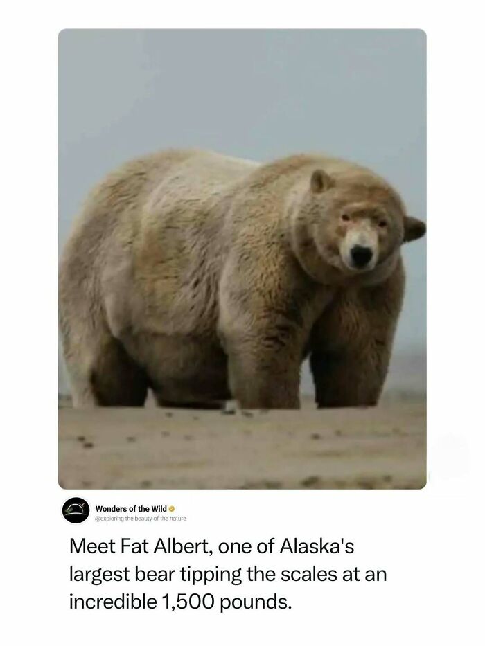 44 Animal Facts That’ll Totally Surprise You