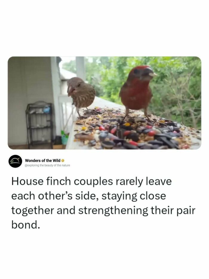44 Animal Facts That’ll Totally Surprise You