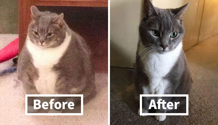 40+ Before-And-After Pics That Guess What? Actually Change A Lot!