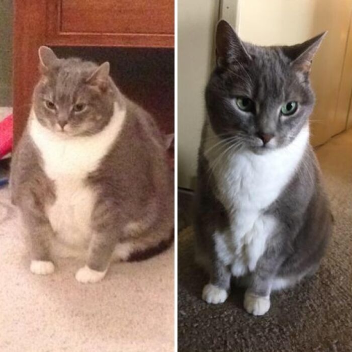 Chunky to Chill: Lost 10 Pounds and No More Chunky Boy Nickname!