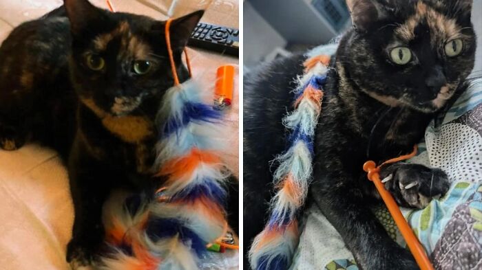 40+ Before-And-After Pics That Guess What? Actually Change A Lot!