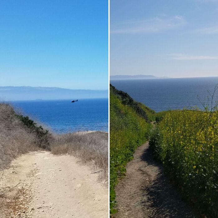 40+ Before-And-After Pics That Guess What? Actually Change A Lot!