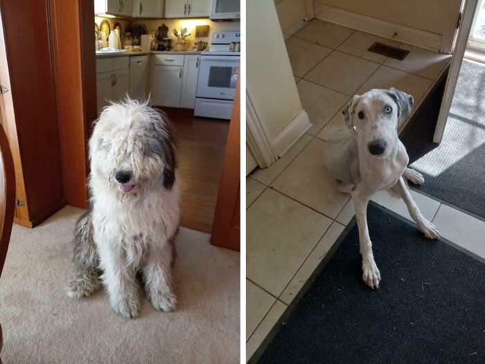 40+ Before-And-After Pics That Guess What? Actually Change A Lot!