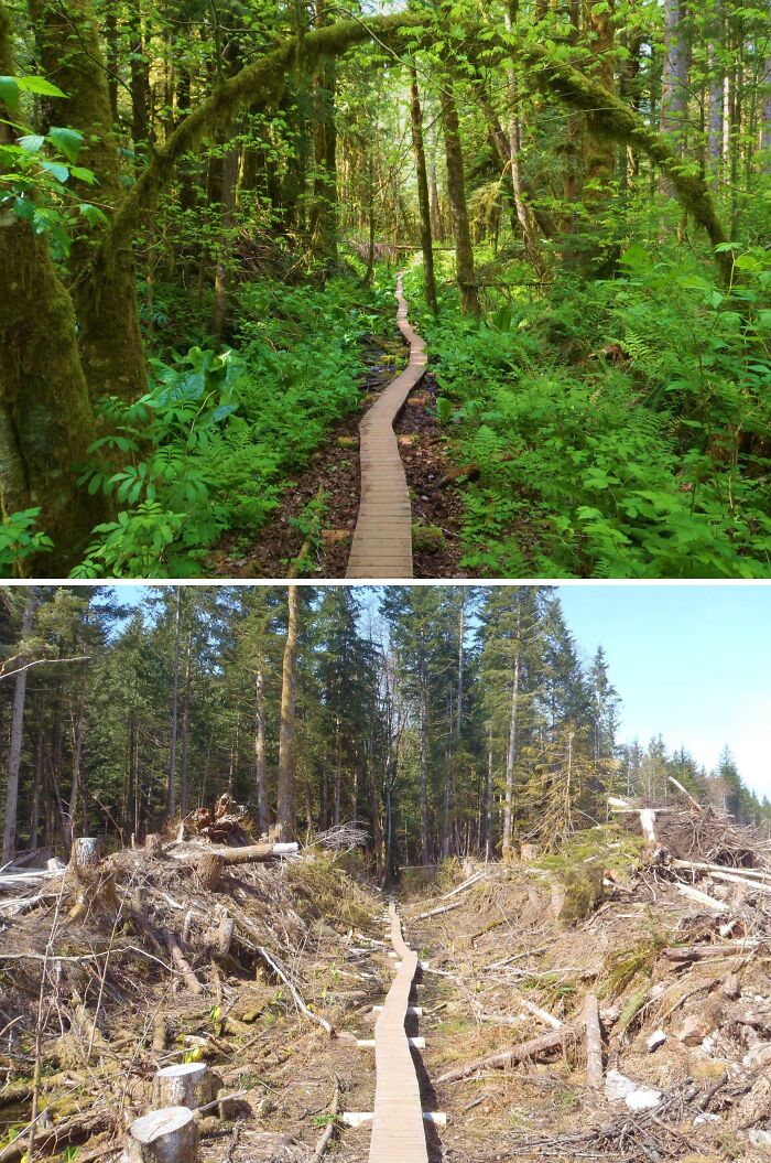40+ Before-And-After Pics That Guess What? Actually Change A Lot!