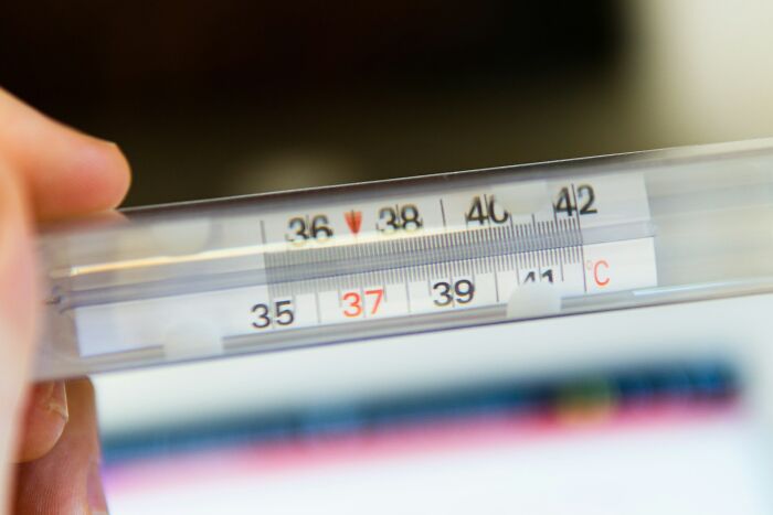 Wait, They Actually Ranked That?! 50+ Wild 'Today I Learned' Facts That Made Us Go 'Whoa!'