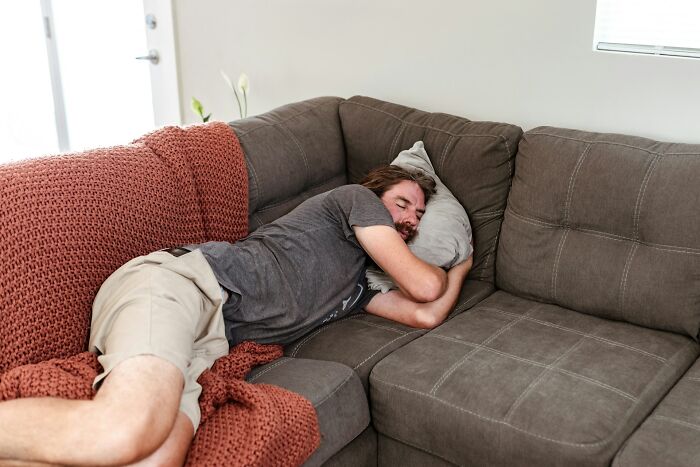 Wait, They Actually Ranked That?! 50+ Wild 'Today I Learned' Facts That Made Us Go 'Whoa!'