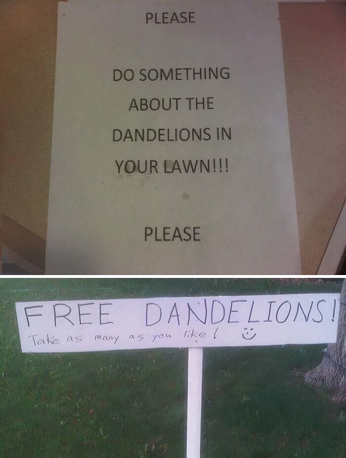 When The Homeowners’ Association Is In On The Joke