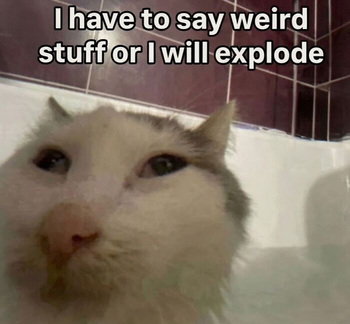 Wait, They Actually Made These Weird Memes?!