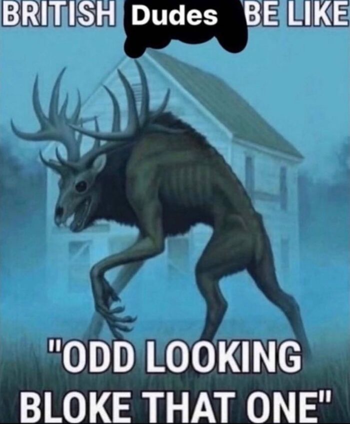 Wait, They Actually Made These Weird Memes?!