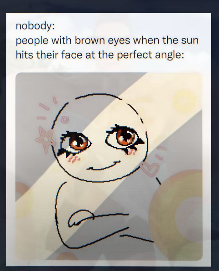 Wait, They Actually Made These Weird Memes?!