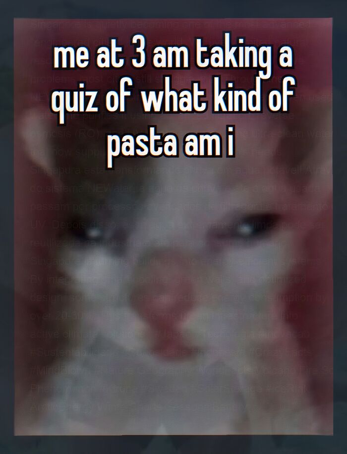 Wait, They Actually Made These Weird Memes?!