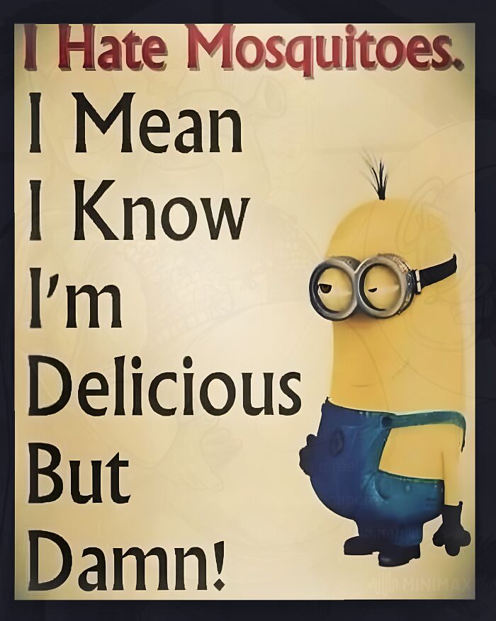 Wait, They Actually Made These Weird Memes?!