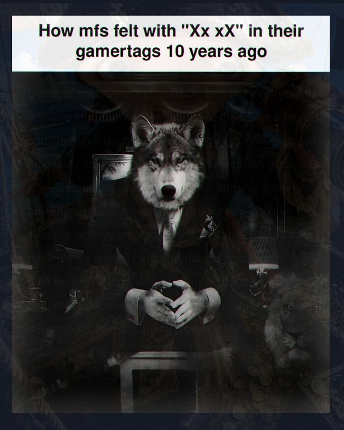 Wait, They Actually Made These Weird Memes?!