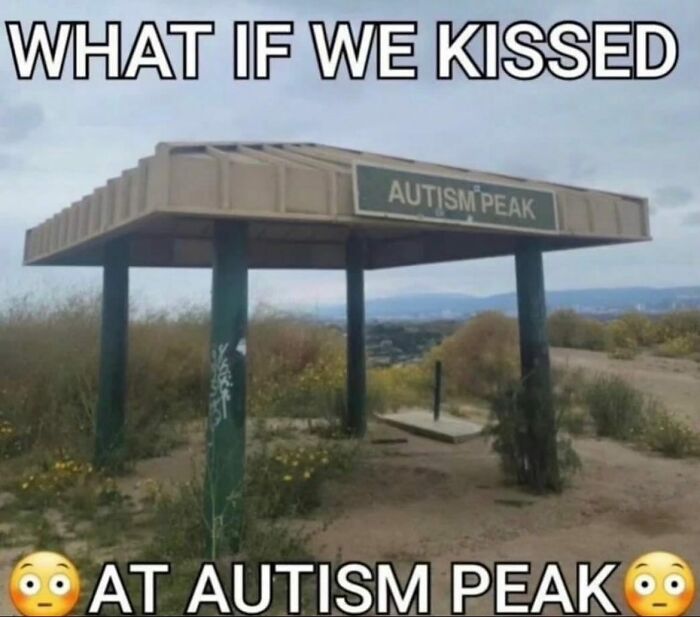 Wait, They Actually Made These Weird Memes?!