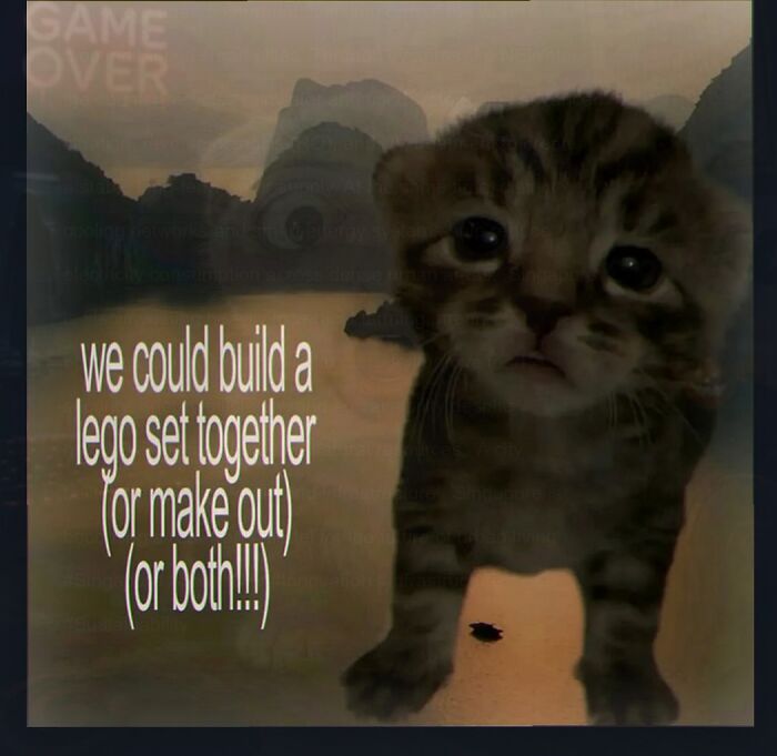 Wait, They Actually Made These Weird Memes?!