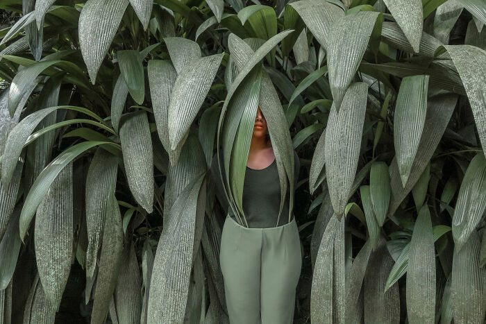 “Green With Envy”