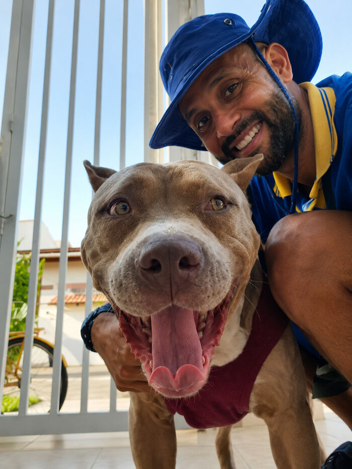 Meet the Mailman Dogs Actually Cheer For (Yep, It’s a Thing!)