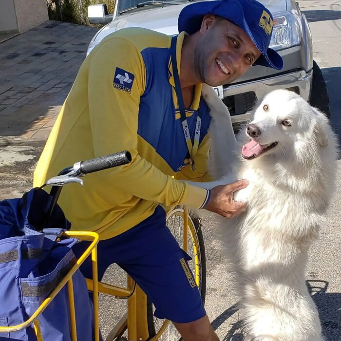 Meet the Mailman Dogs Actually Cheer For (Yep, It’s a Thing!)