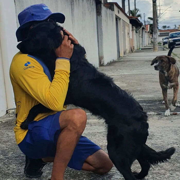 Meet the Mailman Dogs Actually Cheer For (Yep, It’s a Thing!)