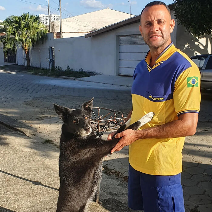 Meet the Mailman Dogs Actually Cheer For (Yep, It’s a Thing!)