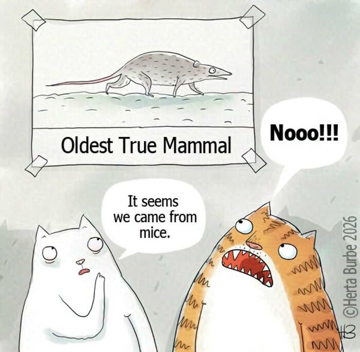 50 Comics That Turn Everyday Stuff Into Hilarious Adventures