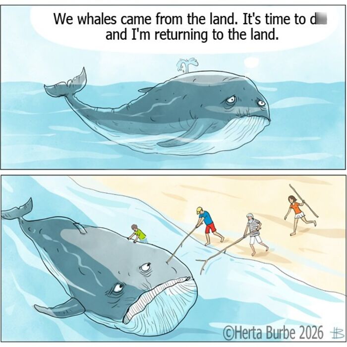 50 Comics That Turn Everyday Stuff Into Hilarious Adventures