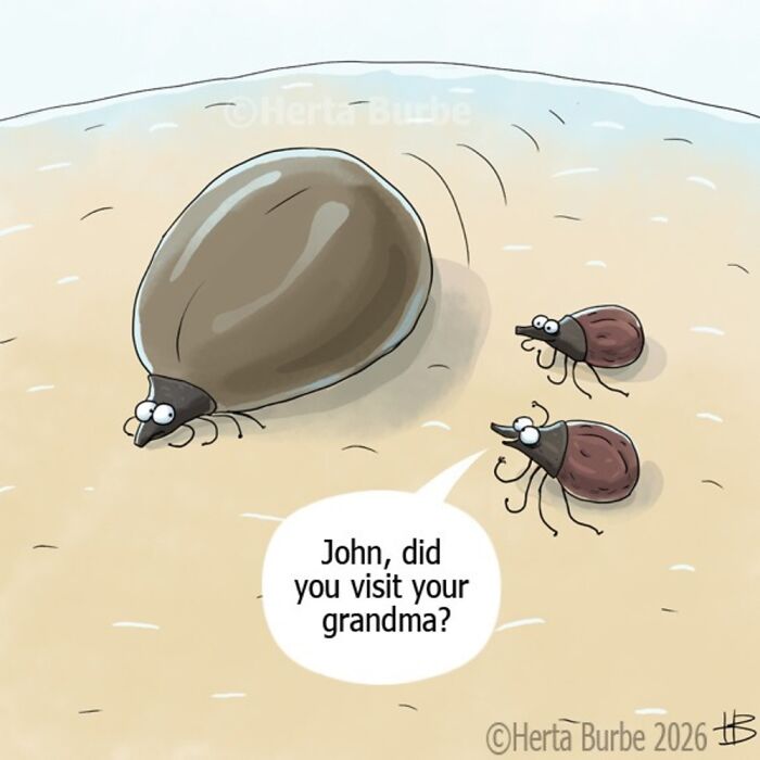 50 Comics That Turn Everyday Stuff Into Hilarious Adventures