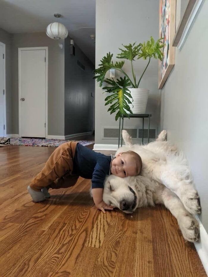 64 Animal Pics So Cute They’ll Totally Brighten Your Day!