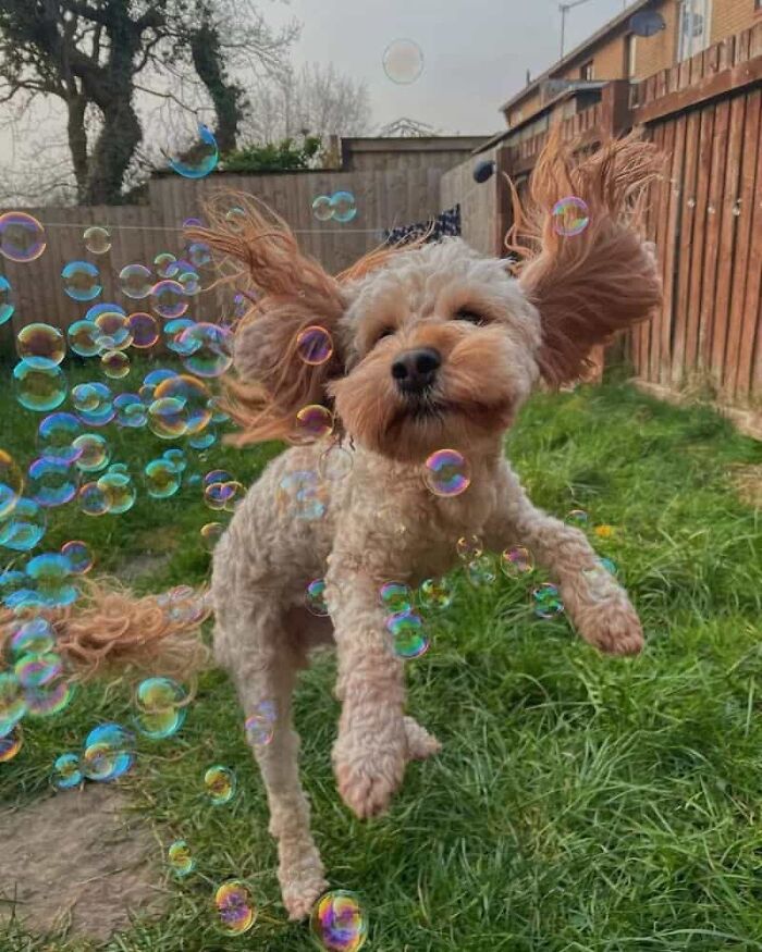 64 Animal Pics So Cute They’ll Totally Brighten Your Day!