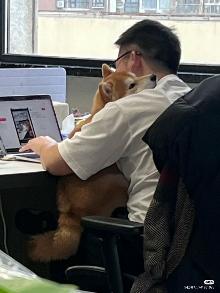 64 Animal Pics So Cute They’ll Totally Brighten Your Day!