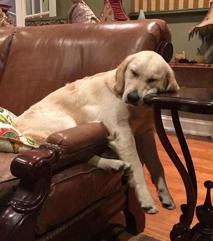 64 Animal Pics So Cute They’ll Totally Brighten Your Day!