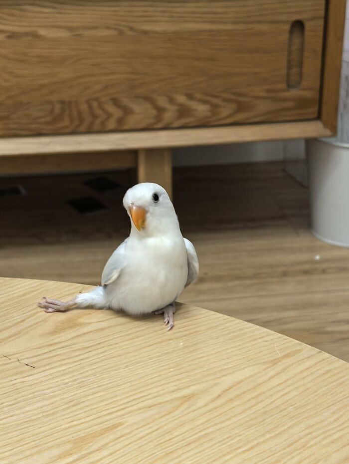 64 Animal Pics So Cute They’ll Totally Brighten Your Day!