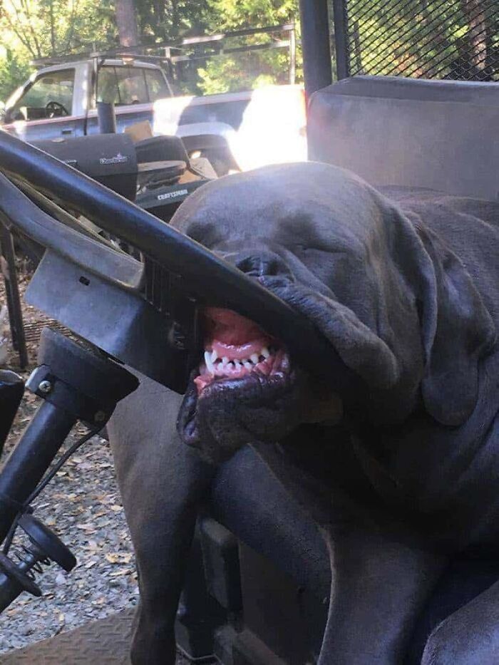 64 Animal Pics So Cute They’ll Totally Brighten Your Day!