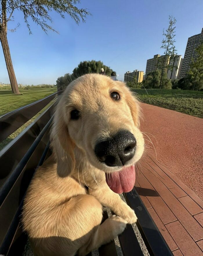 64 Animal Pics So Cute They’ll Totally Brighten Your Day!