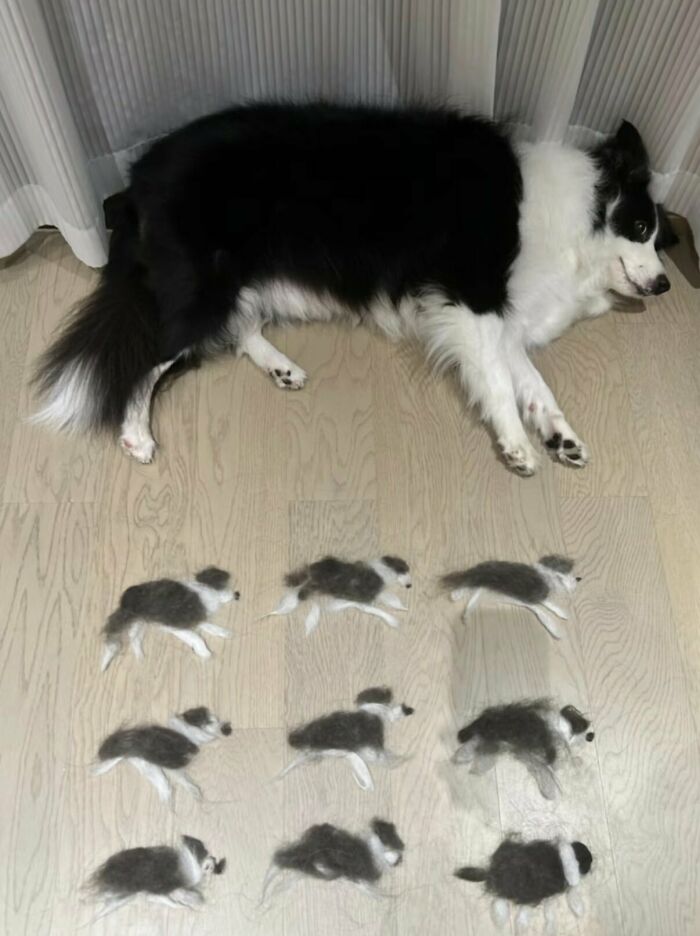 64 Animal Pics So Cute They’ll Totally Brighten Your Day!