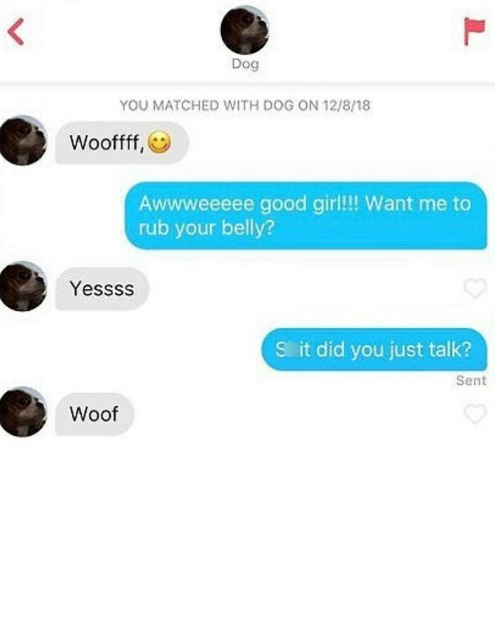 Dating App Disasters That’ll Have You Saying, Wait, WHAT?!
