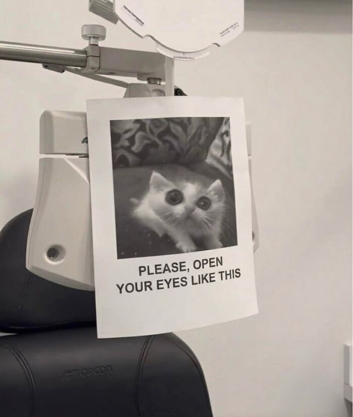 These 42 Hilarious Cat Pics Will Totally Capture Your Inner Weird Cat Person