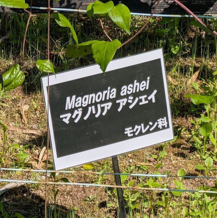 Japan’s English Fails That Are So Good They Deserve Applause