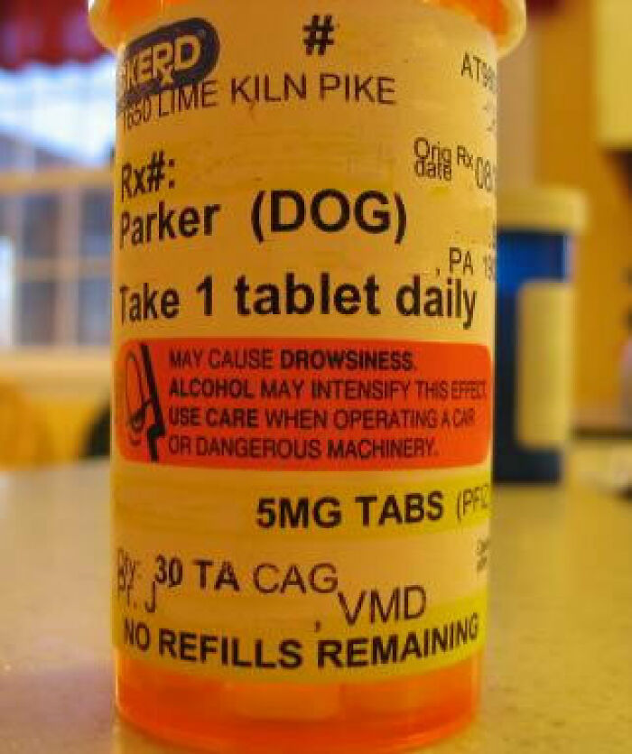 Wait, They Actually Put These Warning Labels on Stuff?!