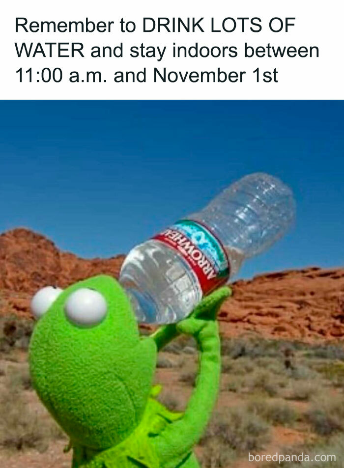 The Heatwave Meme Party You Didn't Know You Needed