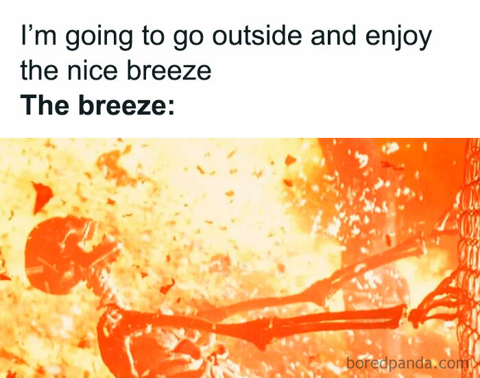The Heatwave Meme Party You Didn't Know You Needed