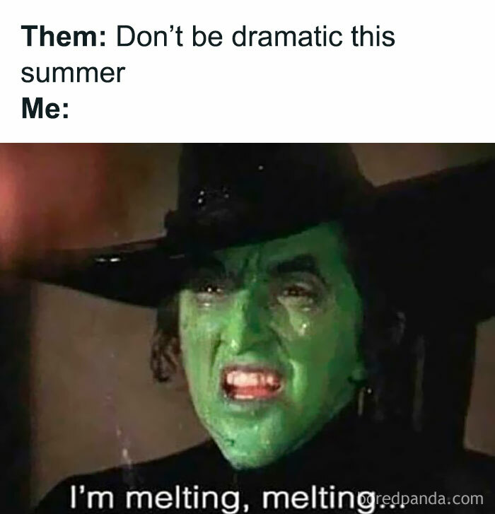 The Heatwave Meme Party You Didn't Know You Needed