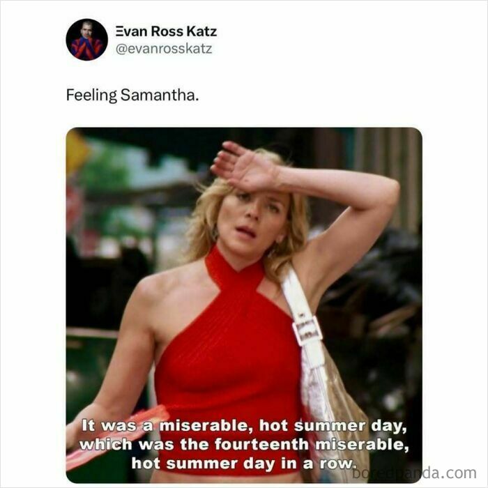 The Heatwave Meme Party You Didn't Know You Needed