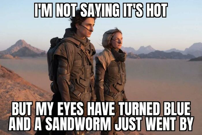 The Heatwave Meme Party You Didn't Know You Needed